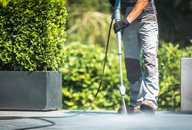 Best Rust Removal  in Mount Plymouth, FL