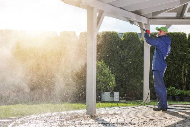 Spring Cleaning in Mount Plymouth, FL