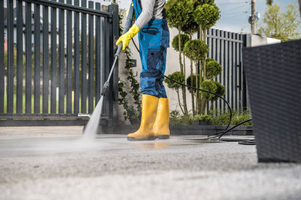 Best Pool Deck Cleaning  in Mount Plymouth, FL